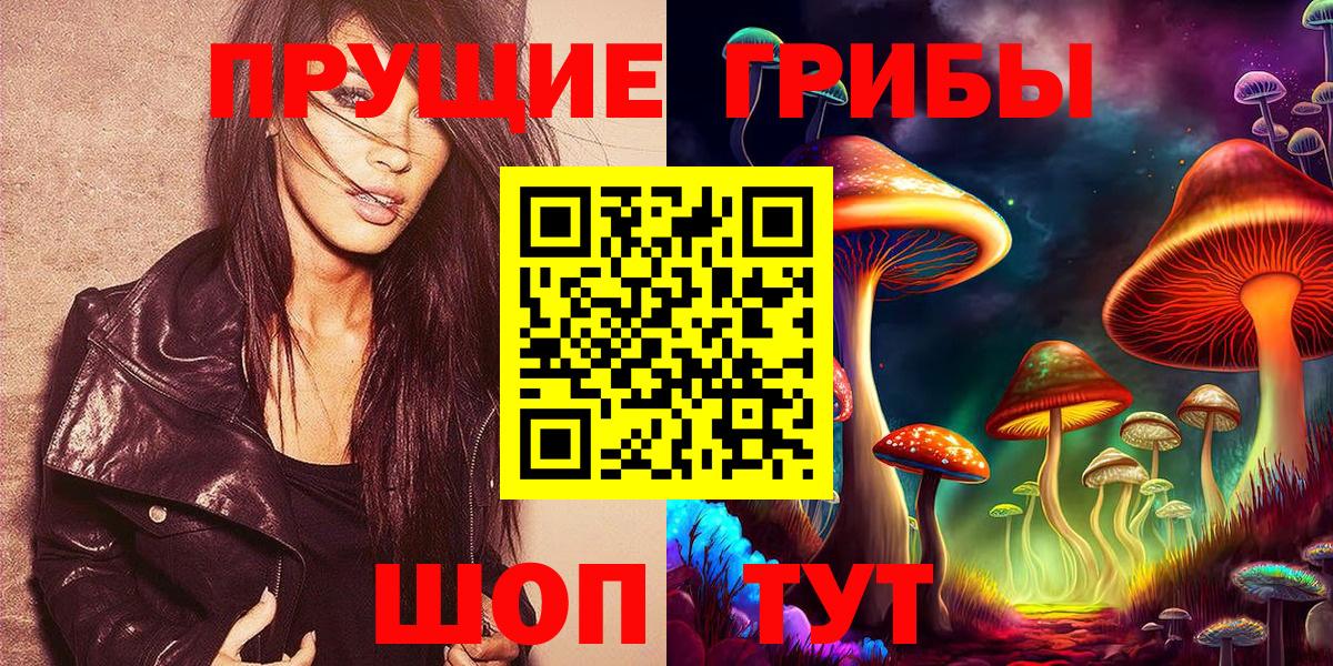 Галлюциногенные грибы Psilocybine cubensis  Вход с VPN  Янаул 